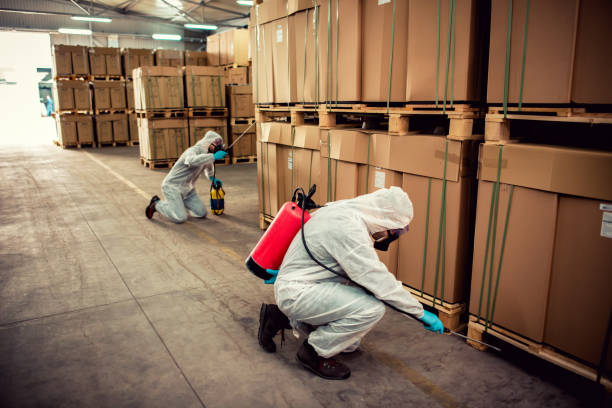 Professional Pest Control in Spooner, WI