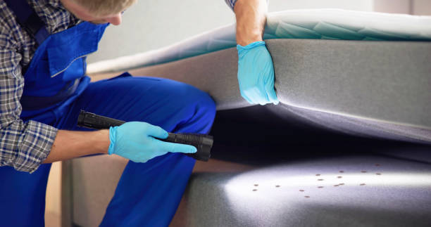 Best Bed Bug Extermination  in Spooner, WI