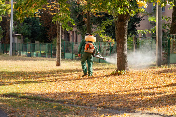 Best Local Pest Control Services  in Spooner, WI