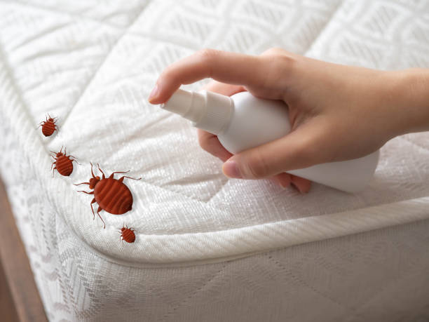 Best Affordable Pest Control Services  in Spooner, WI