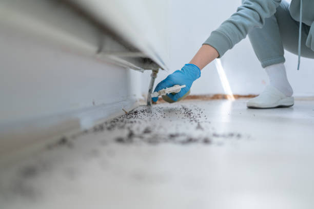 Best Emergency Pest Control  in Spooner, WI